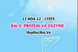 Protein, Enzyme là gì? tính chất hóa học, vật lí, cấu tạo của Protein, vai trò của Protein, Enzyme? Hóa 12 bài 8 CTST